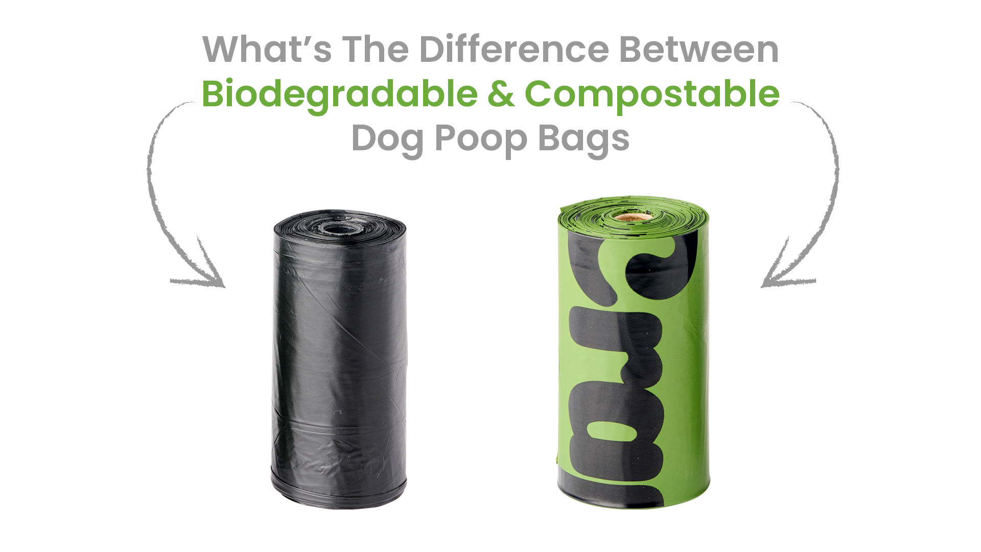 Image with a picture of two dog poop bag rolls that says Biodegradable vs Compostable Dog Poop Bags