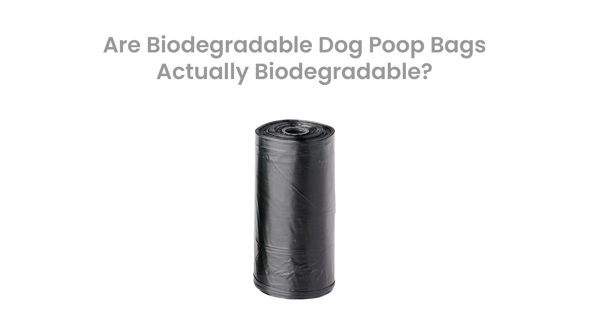 Image with the words - Are Biodegradable Dog Poop Bags Actually Biodegradable, on