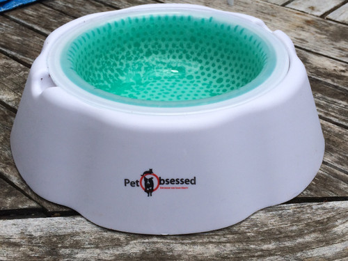 Picture of a dog bowl that can be frozen