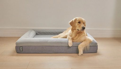 Picture of Barney Dog Bed