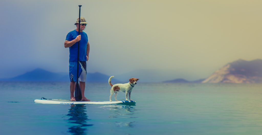 Dog paddleboarding with owner