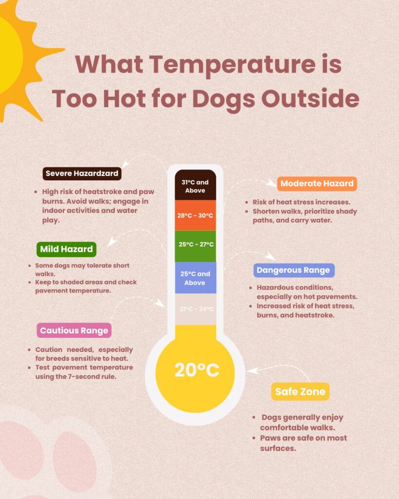 Picture of a Dog Walk Temperature Chart